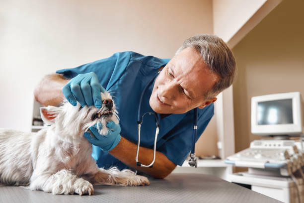 Best Dentist for Tooth Abscess  in North Richland Hills, TX